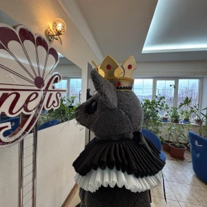 Collar S 0153 - image 5