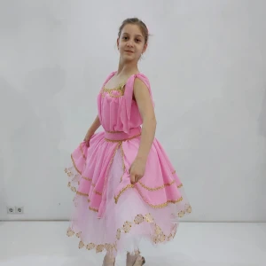 Aurora P 2501 - image 8