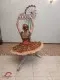 Ballet costume P 0808 - image 7