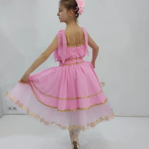 Aurora P 2501 - image 7