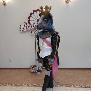 Ballet costume Rat King Mouse  Fight Nutcracker P 0220A - image 11