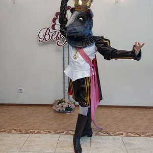 Ballet costume Rat King Mouse  Fight Nutcracker P 0220A - image 12