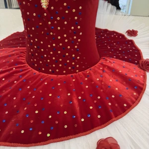 Stage costume F0531 - image 7