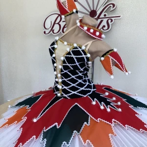 Stage costume F 0352 - image 6