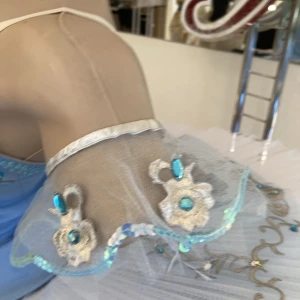 Blue Bird(Princess Florine) F 0001A - image 51