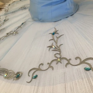 Blue Bird(Princess Florine) F 0001A - image 50