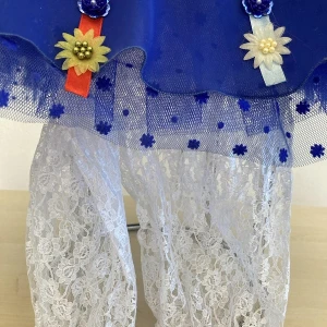 Costum pentru scena F 0061 - image 15