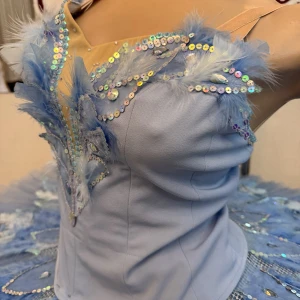 Pasarea albastra P 0416(5001) - image 5