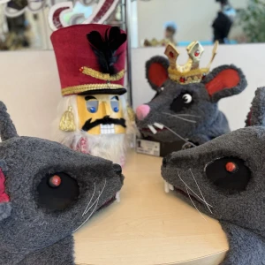 Frizură Regele Șobolan Cap Masca Mouse-Ul Spărgătorul De Nuci Șobolan Lupta S 0093A - image 14