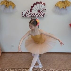 Professional basic tutu with a simple decor T 0014 - image 52