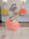 Stage ballet costume F 0494 - image 4