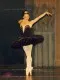 ballet tutu Odile P 0104 - image 19