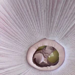 Extra  lightweight rehearsal tutu with hoops T 0001A(3166) - image 8