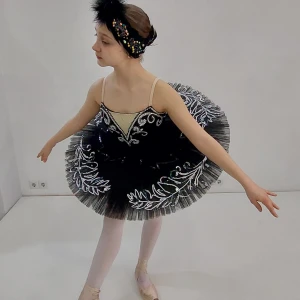 Чёрный лебедь P 0131 - image 14