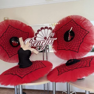 Stage costume P 1337 - image 2