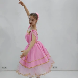 Aurora P 2501 - image 5