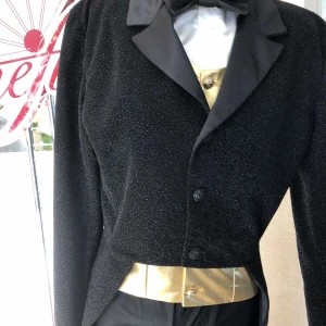 Stage costume F 0391A - image 3