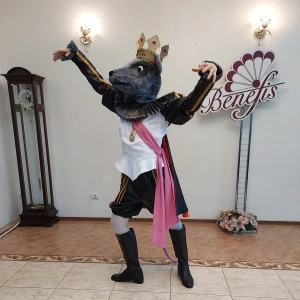Ballet costume Rat King Mouse  Fight Nutcracker P 0220A - image 13