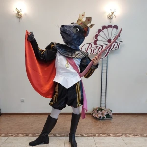 Ballet costume Rat King Mouse  Fight Nutcracker P 0220A - image 14