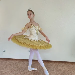Costum pentru scena F 0102 - image 34