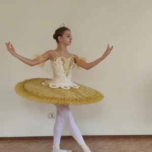 Costum pentru scena F 0102 - image 35