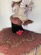 Ballet costume in Spanish style Doll Nutcracker P 1326 - image 12