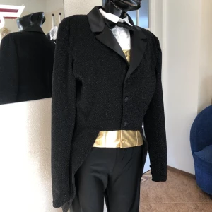 Stage costume F 0391A - image 9