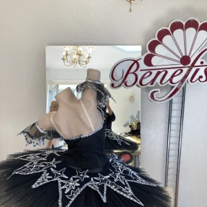 Ballet costume Marie, Clara  Nutcracker Pas de deux Sleeping Beauty Coppelia Fairy P 0202(2215) - image 7