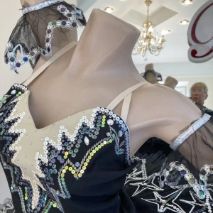 Ballet costume Marie, Clara  Nutcracker Pas de deux Sleeping Beauty Coppelia Fairy P 0202(2215) - image 6