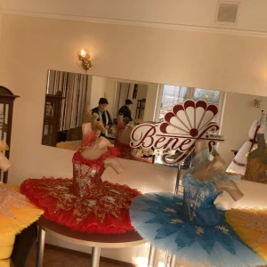 Costum F 0154 - image 17