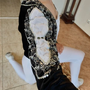 Siegfried - 1st act P 0107 - image 19