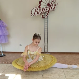 Costum pentru scena F 0102 - image 30
