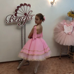 Aurora P 2501 - image 17