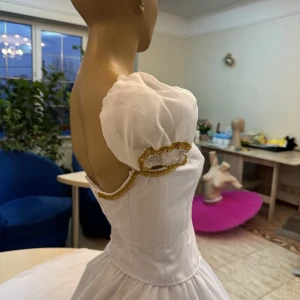 Stage ballet costume F 0315A - image 20