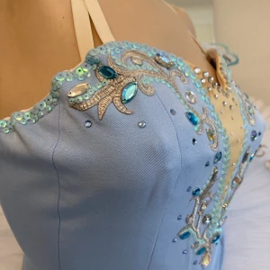 Blue Bird(Princess Florine) F 0001A - image 36