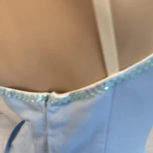 Blue Bird(Princess Florine) F 0001A - image 37