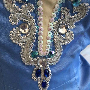 Blue Bird(Princess Florine) F 0001A - image 93