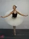 Professional basic tutu with hoops T 0001H - image 2