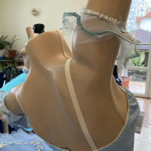 Blue Bird(Princess Florine) F 0001A - image 58