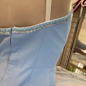 Blue Bird(Princess Florine) F 0001A - image 44