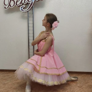 Aurora P 2501 - image 12