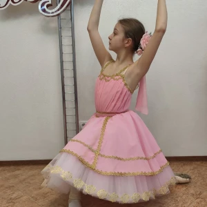 Aurora P 2501 - image 13