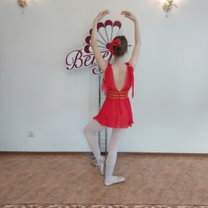 Сценический костюм F 0446 - image 11