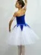 Stage ballet costume F 0089A - image 2