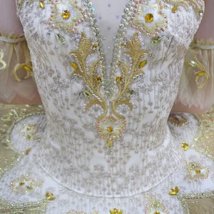 Stage costume F 0102 - image 3