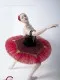Soloist costume  P 0328 - image 2