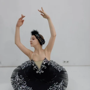 Чёрный лебедь P 0131 - image 12