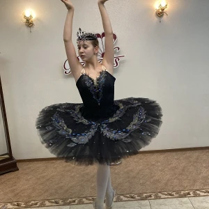 Black Swan P0134 - image 5