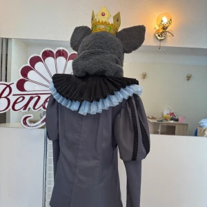 Costum de balet Regele Sobolanului Lupta Șoarecelor Spărgătorul de nuci P 0221 - image 40