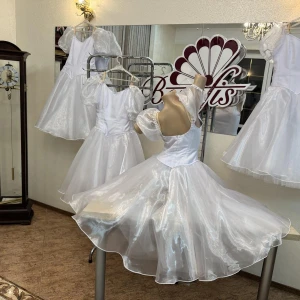 Stage ballet costume T 0024 - image 7